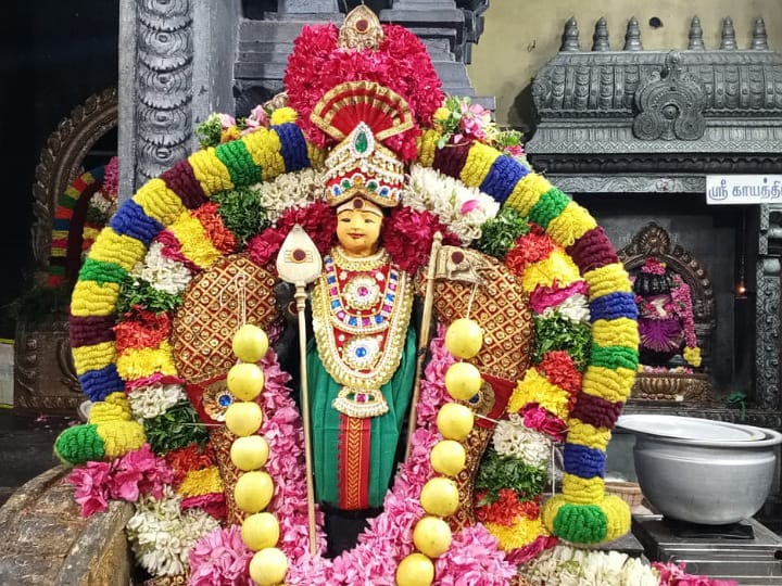 கரூரில் மாசி மாத கிருத்திகை முன்னிட்டு அழகன் பாலமுருகனுக்கு ராஜா அலங்காரம் - திரளான பக்தர்கள் சாமி தரிசனம்