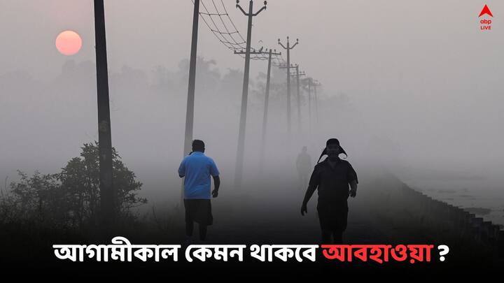 West Bengal Weather Update: বৃষ্টির সম্ভাবনা কোথায় কোথায় ? সপ্তাহান্তে কেমন থাকবে আবহাওয়া ? দেখুন একনজরে