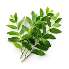 स्वाद ही नहीं सेहत में भी फायदों का तड़का लगाता है कड़ी पत्ता, रोज़ाना खाएंगे तो आसपास भी नहीं फटकेंगी बीमारियां