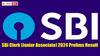 SBI Clerk Result: ఎస్‌బీఐ క్లర్క్ ప్రిలిమ్స్ ఫలితాలు విడుదల, డైరెక్ట్ లింక్ ఇదే!
