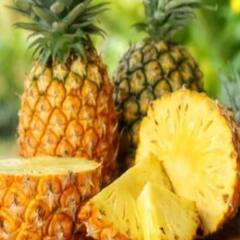 Pineapple: ਇਸ ਖੱਟੇ-ਮਿੱਠੇ ਫ਼ਲ ਦੇ ਹਨ ਕਈ ਸਿਹਤਕ ਲਾਭ, ਜਾਣ ਕੇ ਰਹਿ ਜਾਓਗੇ ਹੈਰਾਨ