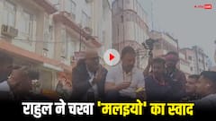 वाराणसी पहुंचे राहुल गांधी ने काशी विश्वनाथ के किए दर्शन, बनारसी 'मलइयो' का भी चखा स्वाद
