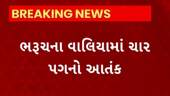 Bharuch News : વાલિયામાં ચાર પગનો આંતક, દીપડો દેખાતા ગ્રામજનોમાં ફફડાટ