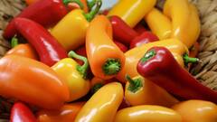 Vegetables For Hair Health: ঘন কালো উজ্জ্বল চুল পেতে চাইলে পাতে রাখতে হবে এই ৫ সবজি