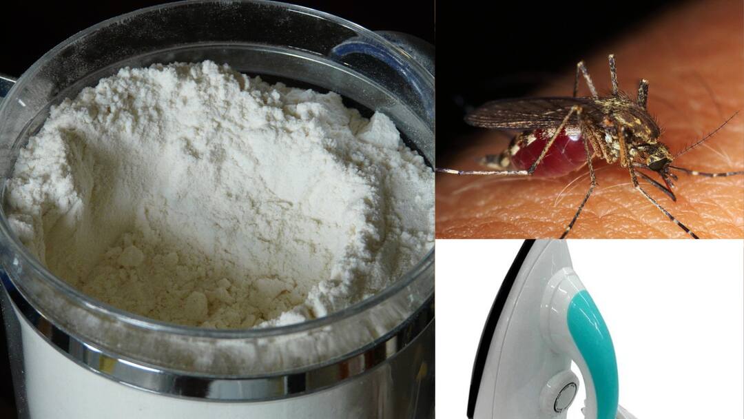 If you do this, mosquitoes will never come, to prevent bug from wheat flour Useful household tips Useful Household Tips: இதை செய்தால் கொசு வரவே வராது; கோதுமை மாவில் வண்டு வராமல் இருக்க - பயனுள்ள வீட்டுக் குறிப்புகள்!