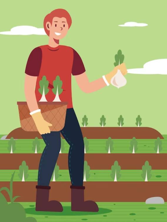 किसानों के लिए क्यों खास है कांट्रेक्ट फार्मिंग