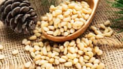 Pine Nuts : या ड्रायफ्रूटची किंमत ऐकून तुम्हाला वाटेल आश्चर्य, किंमत काजू आणि पिस्त्यांपेक्षा जास्त आहे.