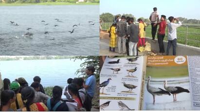 Nellai Bird census for this year started today at 60 places - TNN இந்தாண்டிற்கான பறவைகள் கணக்கெடுப்பு  பணி நெல்லையில் 60 இடங்களில் தொடங்கியது