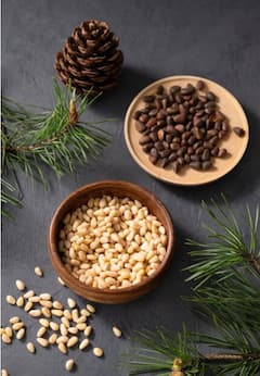 Pine Nuts : या ड्रायफ्रूटची किंमत ऐकून तुम्हाला वाटेल आश्चर्य, किंमत काजू आणि पिस्त्यांपेक्षा जास्त आहे.