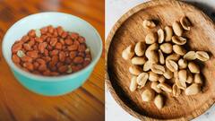 Raw or Roasted Peanuts : कच्चे की भाजलेले शेंगदाणे ? कोणते आहेत चांगले ? जाणून घ्या