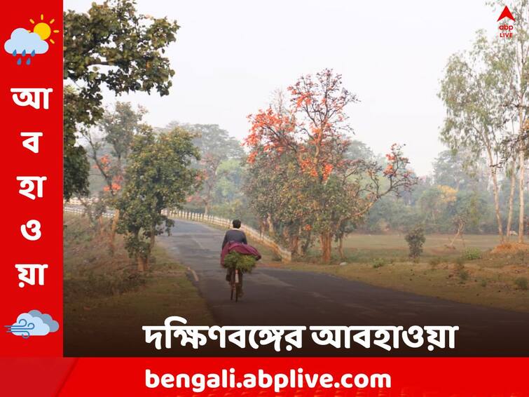 Weather Update Rain Fore Cast Temperature may increase  in South Bengal 18 February 2024 South Bengal Weather: শীত বিদায় পর্বে বসন্তের ছোঁয়া, আগামীকাল কেমন আবহাওয়া দক্ষিণবঙ্গে ?