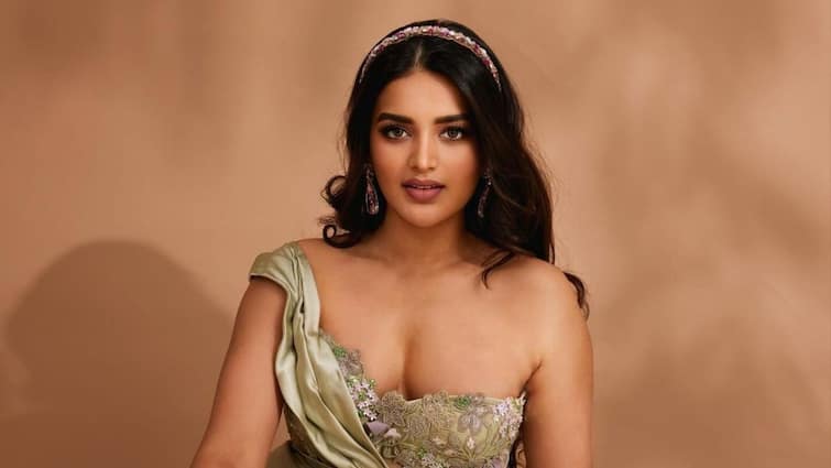Raja Saab Actress Nidhhi Agerwal OTT debut AKIDO First Look on Feb 24 Nidhhi Agerwal: ఓటీటీలోకి ఎంట్రీ ఇస్తున్న 'రాజా సాబ్' బ్యూటీ - ఫస్ట్ లుక్ ఎప్పుడంటే?