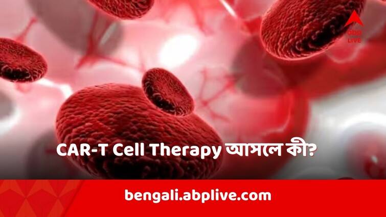 CAR T Cell Therapy Cancer Treatment Benefits Side Effects Know in Details  abpp Cancer: মারণরোগের নতুন দিশা CAR-T Cell Therapy- তে ? কীভাবে কাজ করে এই চিকিৎসা-পদ্ধতি , খরচ কত