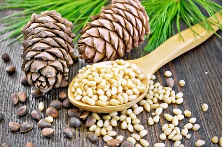 पाइन नट्समध्ये कॅल्शियम आणि मॅग्नेशियमची कमतरता देखील पूर्ण करण्याची क्षमता असते. शरीरातील रक्ताभिसरणही सुधारते.(Photo Credit : freepik )