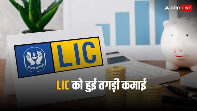 Public insurer gets refund order of more than 22 thousands crore from income tax dept LIC Tax Refund: इनकम टैक्स ने जारी किया सालों का रिफंड, एलआईसी को हुआ 22 हजार करोड़ का फायदा