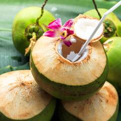 Coconut Water: ਬਦਲਦੇ ਮੌਸਮ ‘ਚ ਡੀਹਾਈਡਰੇਸ਼ਨ ਤੋਂ ਬਚਣ ਲਈ ਪੀਓ ਆਹ ਡਰਿੰਕ