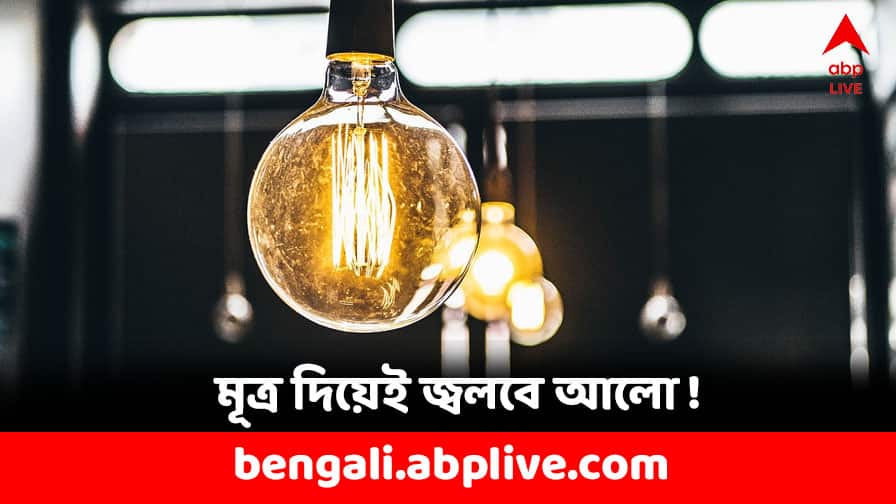 Urine Bio Fertilizer: মূত্রের সাহায্যে জ্বলবে আলো, তৈরি হবে জৈব সার! Electricity and Bio Fertilizer from Human Urine IIT Researchers invented new technology Urine Bio Fertilizer: মূত্রের সাহায্যে জ্বলবে আলো, তৈরি হবে জৈব সার!