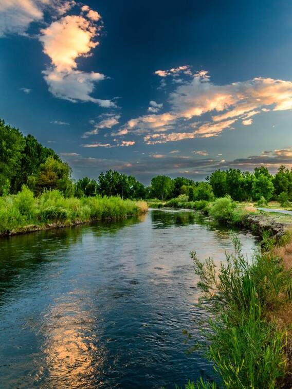 यूपी के कितने जिलों से बहती है गोमती नदी? जानें