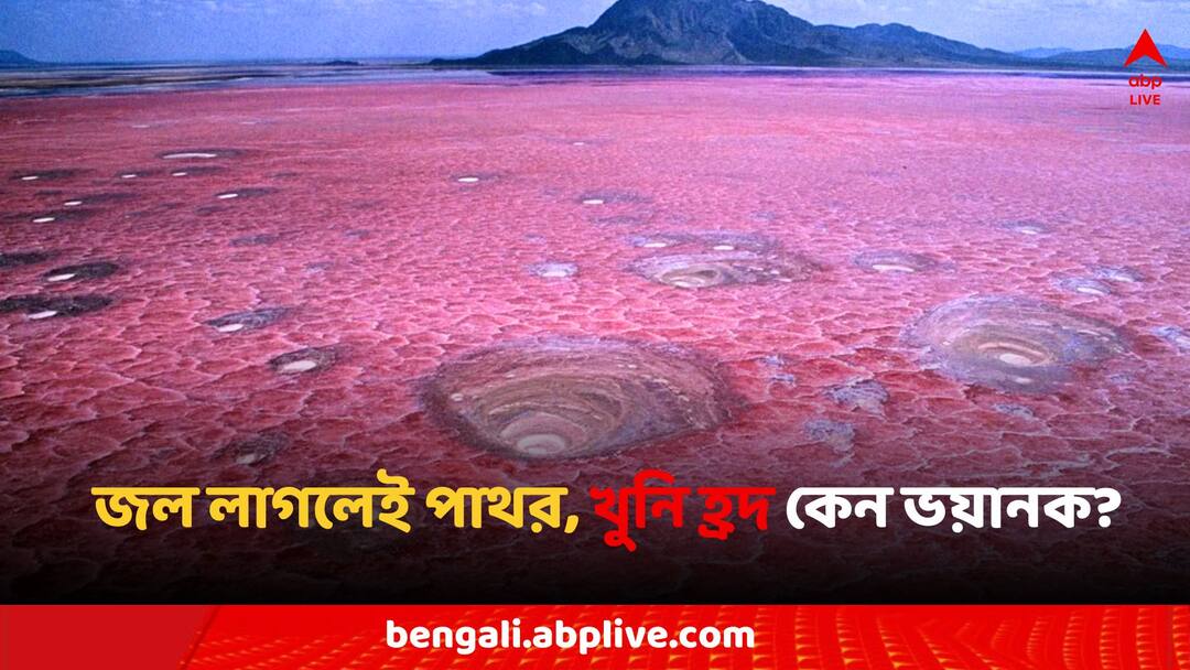 Natron Lake: জল স্পর্শ করলেই পাথর! রহস্যে ঘেরা এই 'খুনি হ্রদ' Worlds Most Dangerous lake in the world natron lake life became petrified Natron Lake: জল স্পর্শ করলেই পাথর! রহস্যে ঘেরা এই 'খুনি হ্রদ'