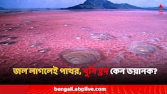 জল স্পর্শ করলেই পাথর! রহস্যে ঘেরা এই 'খুনি হ্রদ'