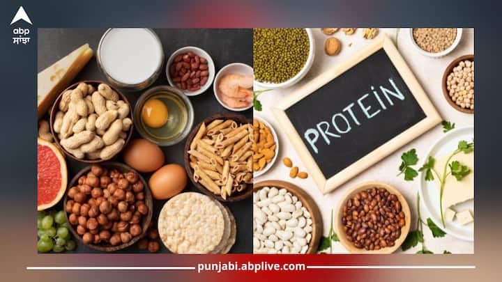 high protein:ਪ੍ਰੋਟੀਨ ਸਰੀਰ ਲਈ ਬਹੁਤ ਮਹੱਤਵਪੂਰਨ ਪੌਸ਼ਟਿਕ ਤੱਤ ਹੈ। ਇਸ ਦੇ ਸੇਵਨ ਨਾਲ ਮਾਸਪੇਸ਼ੀਆਂ, ਹੱਡੀਆਂ ਤੇ ਦੰਦ ਮਜ਼ਬੂਤ ​​ਹੁੰਦੇ ਹਨ। ਬਹੁਤ ਸਾਰੇ ਲੋਕ ਬਾਡੀ ਬਿਲਡਿੰਗ ਲਈ ਹਾਈ ਪ੍ਰੋਟੀਨ ਦਾ ਸੇਵਨ ਵੀ ਕਰਦੇ ਹਨ ਪਰ ਇਹ ਹਰ ਕਿਸੇ ਲਈ