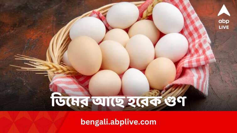 Egg various uses for cleaning tooth brushing and pesticide Egg Various Uses: ডিম দিয়ে দাঁতের মাজন, গাছের সার;  আর কী কী হয় বলুন তো