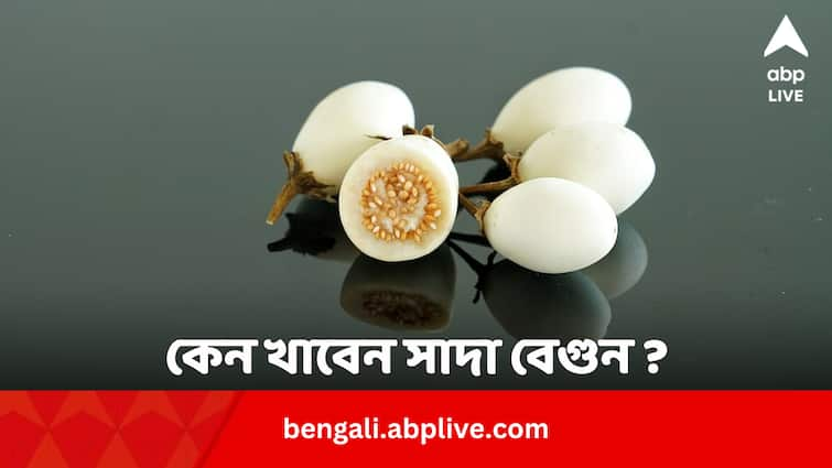 White Eggplant or Brinjal controls sugar cholesterol and heart issues White Eggplant or Brinjal Benefits: গুণের বহরে কম যায় না সাদা বেগুন, কোন কোন রোগ ঠেকাতে খাবেন ?