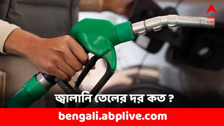 Fuel Price Petrol and Diesel Price Today in India on 17 February Petrol Diesel Price: দামে হেরফের নেই, কবে সস্তা হবে পেট্রোল-ডিজেল ? আজ কত রেট ?