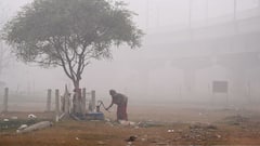 Weather Update: আগামী ২৪ ঘণ্টায় ফের ঊর্ধ্বমুখী হবে পারদ, তবে কি বিদায় নিচ্ছে শীত ? জানাল হাওয়া অফিস