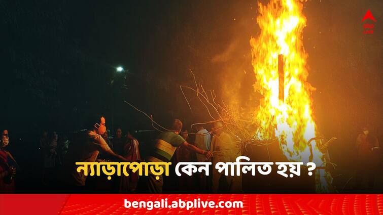 Dol Utsav Holika Dahan Nyarapora history Mythology Rituals Dol Utsav 2024: দোলের আগের দিন ন্যাড়াপোড়া করা হয় কেন? কী গুরুত্ব?