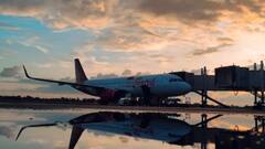 अमेरिकी एयरपोर्ट पर यात्री के बैग को सूंघकर भौंकने लगा कुत्ता, जानिए एयरपोर्ट पर क्या-क्या लेकर जाना मना