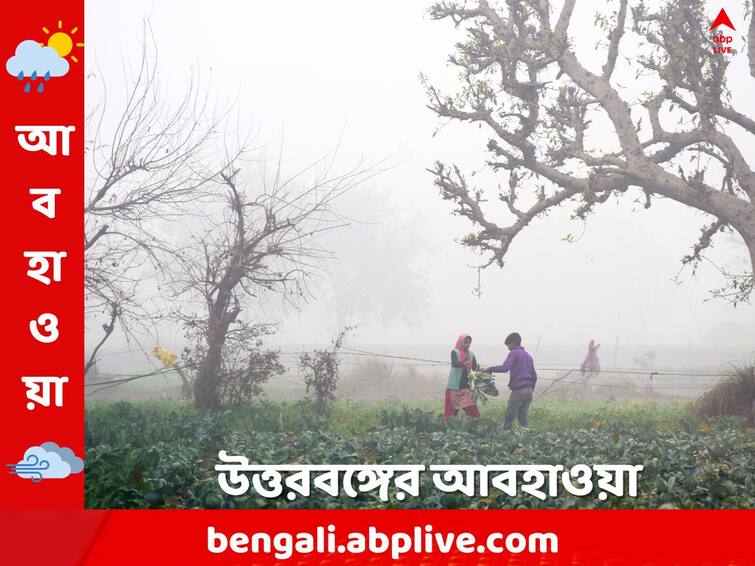 West Bengal Weather Update Dense Fog  North Bengal temperature will may decrease on 18 February 2024 North Bengal Weather: ঘন কুয়াশায় ঢাকতে পারে পাহাড়ি রাস্তা, আগামীকাল কেমন আবহাওয়া উত্তরবঙ্গে ?