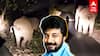 AIADMK cadre harassing elephant : அத்துமீறிய அதிமுக பிரமுகர்.. யானையை துரத்திய விவகாரம்.. அதிர்ச்சி வீடியோ..