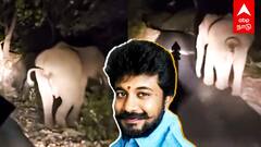 AIADMK cadre harassing elephant : அத்துமீறிய அதிமுக பிரமுகர்.. யானையை துரத்திய விவகாரம்.. அதிர்ச்சி வீடியோ..