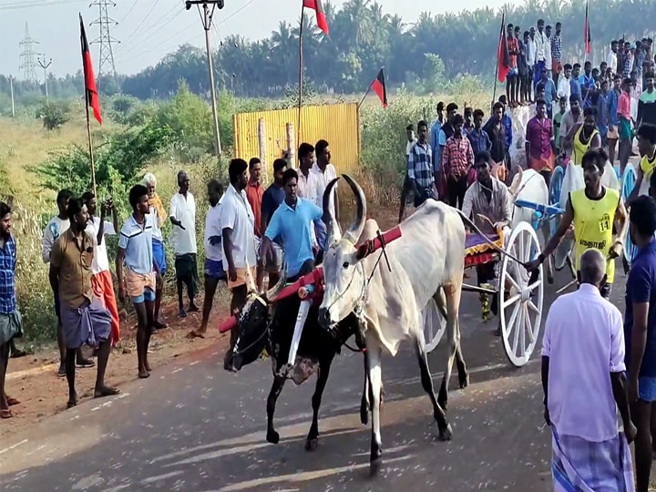 கலைஞர் நூற்றாண்டு விழாவை முன்னிட்டு தேனியில்  இரட்டை மாட்டு வண்டி எல்கைப்பந்தயம்