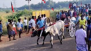 கலைஞர் நூற்றாண்டு விழாவை முன்னிட்டு தேனியில்  இரட்டை மாட்டு வண்டி எல்கைப்பந்தயம்