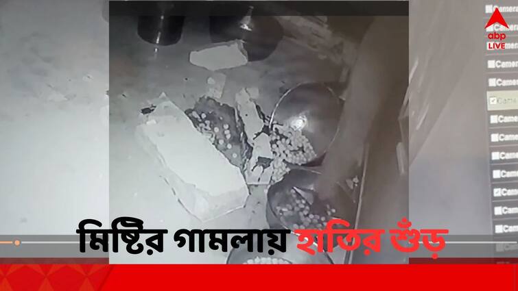 Elephants took out sweets from shop CC TV Captures the moment of Alipurduar Madarihat Alipurduar News: শুঁড় বাড়িয়ে মিষ্টি তুলে নিল বুনো হাতি ! ধরা পড়ল সিসি টিভিতে; আতঙ্ক মাদারিহাটে