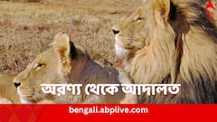 জঙ্গলে 'সীতা'র সঙ্গে 'আকবর'? আপত্তি জানিয়ে আদালতে বিশ্ব হিন্দু পরিষদ