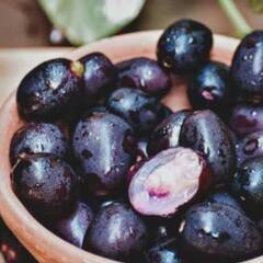 Jamun : ਇਹਨਾਂ ਬਿਮਾਰੀਆਂ ‘ਚ ਦਵਾਈ ਦਾ ਕੰਮ ਕਰਦੀ ਹੈ ਜਾਮੁਨ