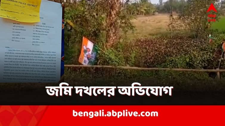 South 24 Parganas allegations of land grabbing against TMC leaders in Budhakhali Kakdwip Kakdwip News: পতাকা লাগিয়ে 'দখল' বৃদ্ধার জমি! কাঠগড়ায় ৩ TMC নেতা