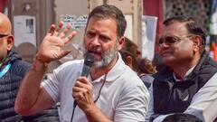 'वहां दिखा कोई ओबीसी', राहुल गांधी का प्राण प्रतिष्ठा पर सवाल, बोले- राम मंदिर गए थे अमिताभ बच्चन, ऐश्वर्या और पीएम मोदी