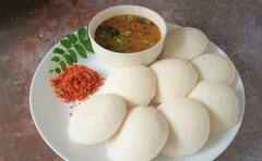 लाखो रुपयांची नोकरी सोडून इडलीचा व्यवसाय, आज कमावतोय लाखो रुपयांचा नफा