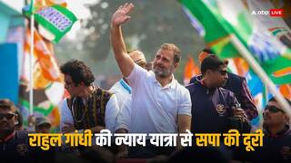 पूर्वजों के शहर में राहुल गांधी को झटका! न्याय यात्रा के बीच नहीं पहुंचे स्वामी प्रसाद मौर्य और पल्लवी पटेल, सामने आई यह वजह