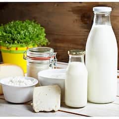 GST Rates: ચીઝ, ચોકલેટ, બ્રેડ સસ્તા થશે; નવા GST સ્લેબ બાદ ખાણીપીણીની આ વસ્તુના ભાવ ઘટશે, જુઓ લિસ્ટ