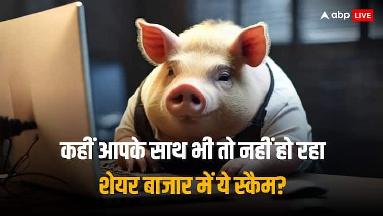 What is Pig Butchering Scam zerodha founder nithin kamath alerts indian investors Pig Butchering Scam: क्या है पिग बुचरिंग स्कैम, जिससे लग रहा निवेशकों को चूना? कामथ ने बताई ये बात
