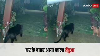 Black Panther Viral Video: रात में घर के बाहर आ गया काला तेंदुआ, IFS अधिकारी ने शेयर किया खौफनाक वीडियो