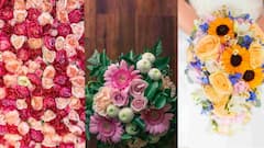 Rose color: लाल, गुलाबी, पिवळा…या गुलाबांच्या रंगांचा अर्थ काय?