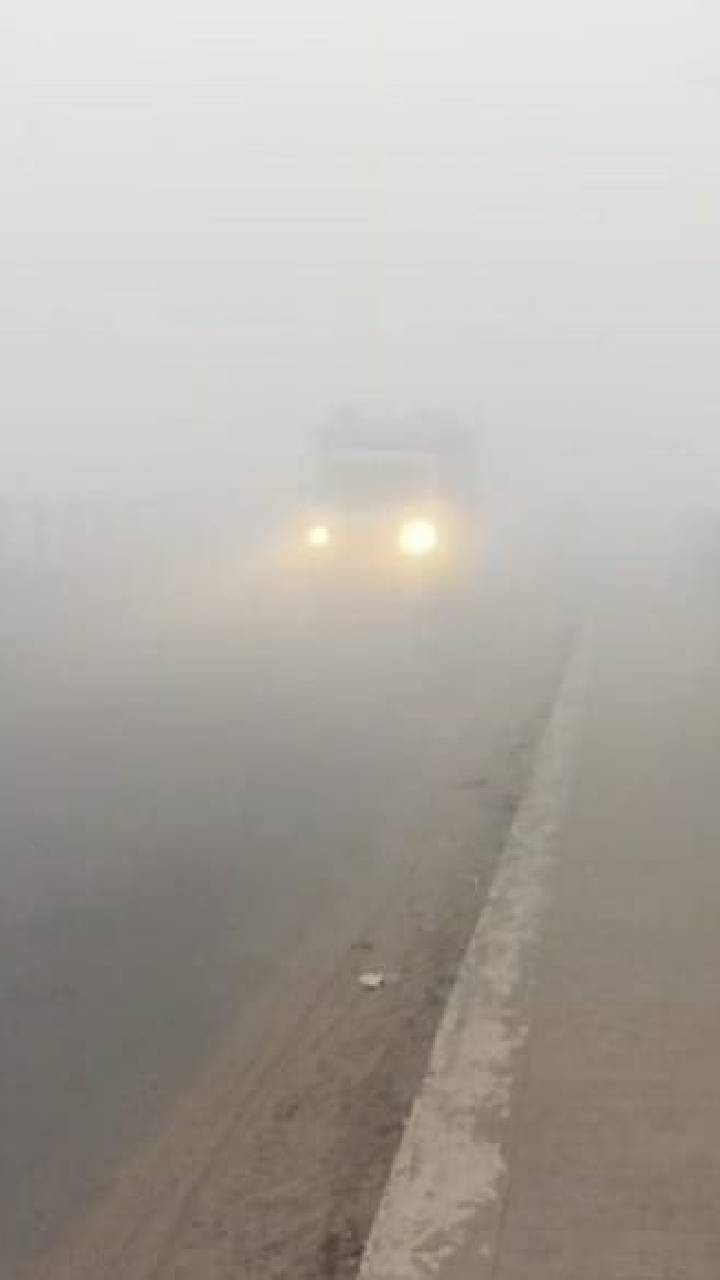 West Bengal Weather: हुगली में आज सुबह घना कोहरा छाया रहा | #abpnewsshorts