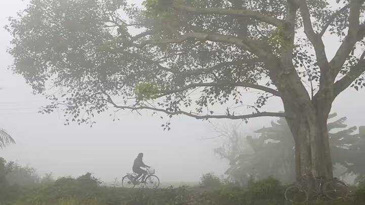 સ્કાયમેટ વેધર અનુસાર, આગામી 24 કલાક દરમિયાન જમ્મુ અને કાશ્મીર, લદ્દાખ, ગિલગિટ-બાલ્ટિસ્તાન, મુઝફ્ફરાબાદ અને હિમાચલ પ્રદેશના કેટલાક ભાગોમાં હળવાથી મધ્યમ વરસાદ અને છૂટાછવાયા ભારે વરસાદ અને હિમવર્ષા સાથે હિમવર્ષા થઈ શકે છે.