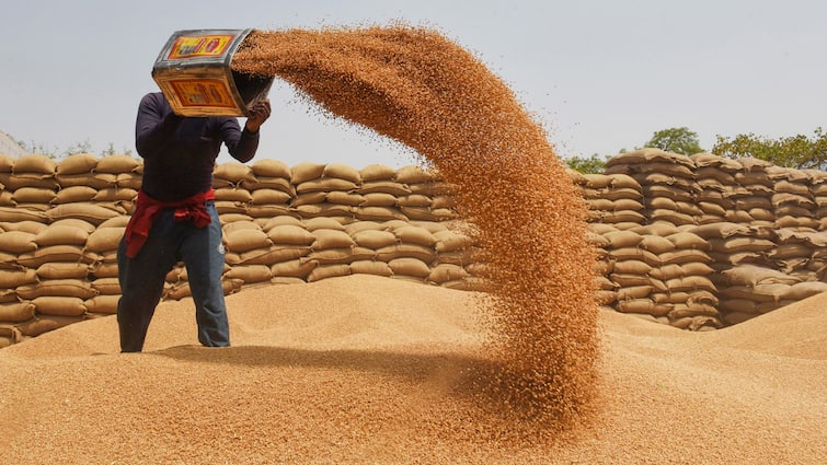 New wheat income in Rajkot yard, farmers are worried about falling prices, know how much the price of mana is રાજકોટ યાર્ડમાં નવા ઘઉંની આવક, ભાવ ઘટતા ખેડૂતો ચિંતામાં, જાણો મણની કેટલી કિંમત છે
